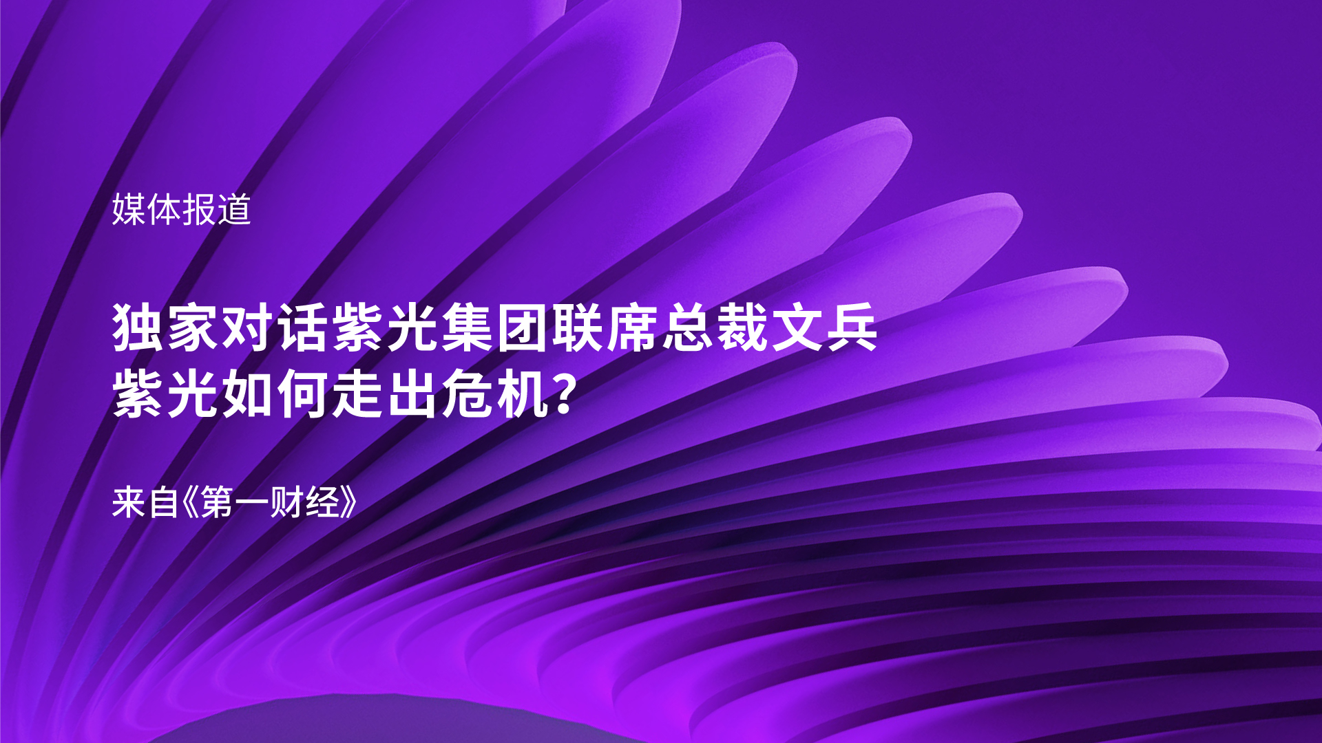 独家对话美狮贵宾注册联席总裁文兵：紫光如何走出危机